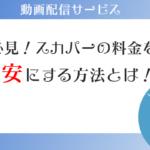 スカパー料金を最安にする「ウラ技」は見たい1チャンネルだけ契約する！
